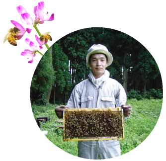 巣箱で濃縮されたハチミツ