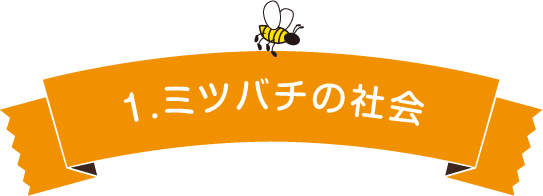 ミツバチ図鑑 ミツバチの社会 有限会社 大場養蜂園
