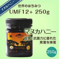 マヌカハニー UMF15+ 250g 3個セット 賞味期限2027.11.22+aethiopien